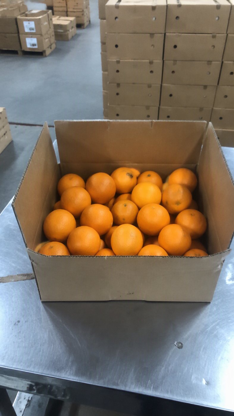 某生鲜牌 · 水果礼盒视频 原始素材：食品生鲜